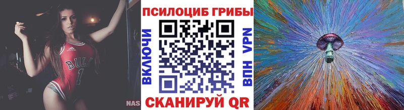 Галлюциногенные грибы Psilocybe  Буинск 